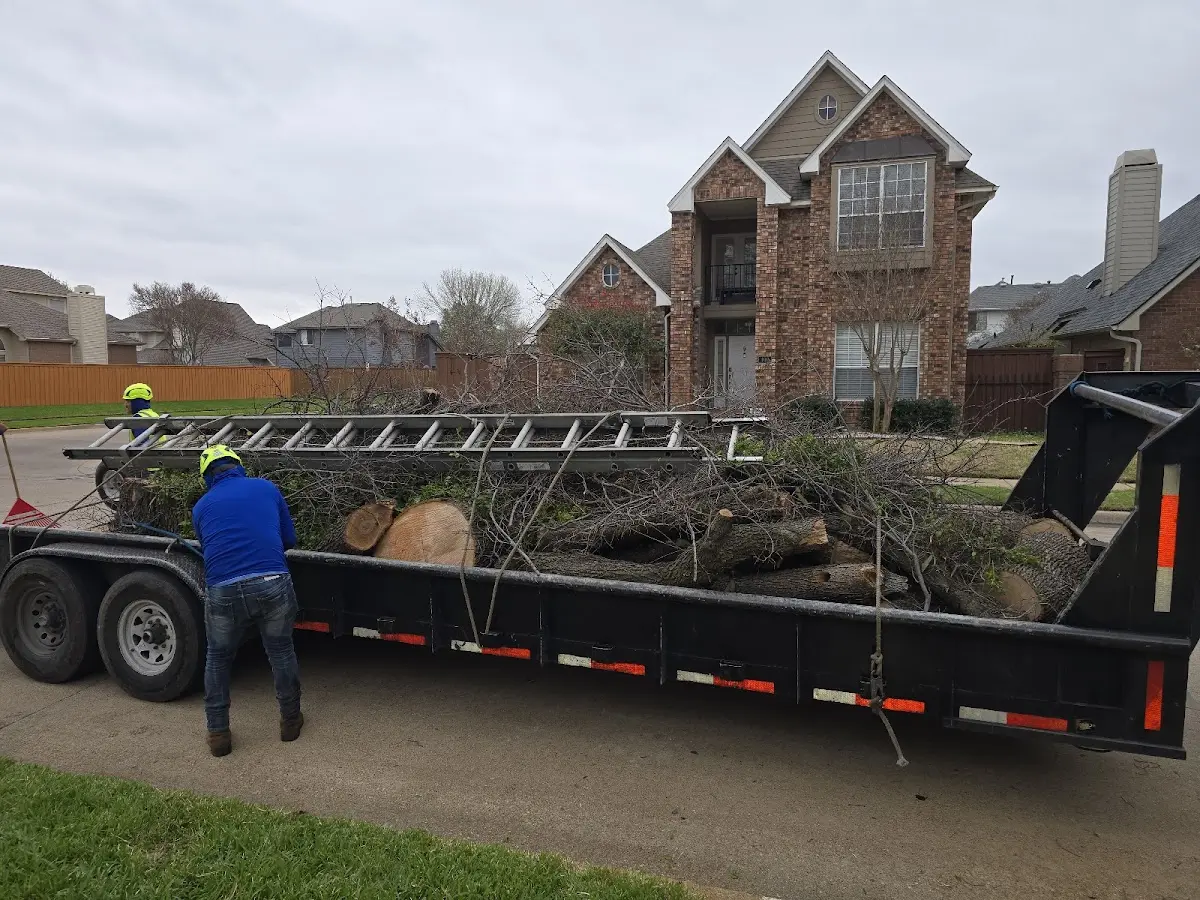 Expert Crown Reduction with proper safety equipment in Deweyville